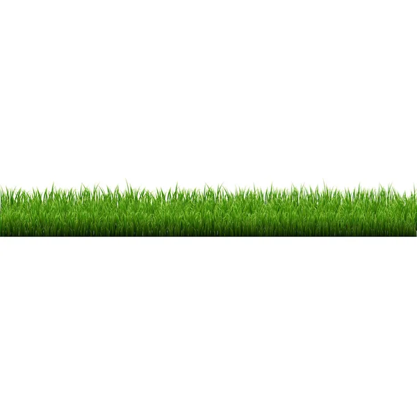 Grasgrenze Isoliert Vektorillustration — Stockvektor