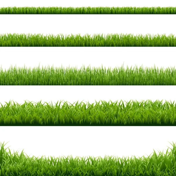 Big Set Green Grass Borders Gradient Mesh Vector Illustration — Stock Vector