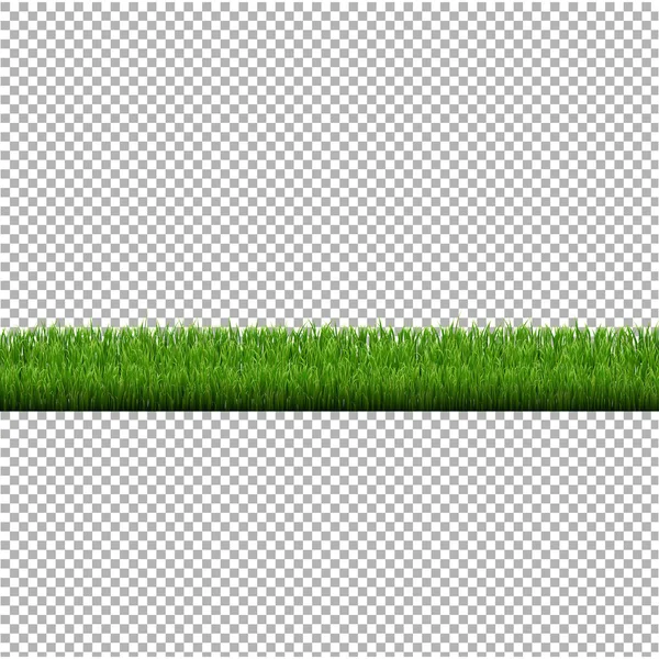 Grasrand Isoliert Transparenter Hintergrund Vektorillustration — Stockvektor