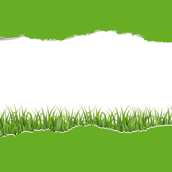 Yeşil Degrade Kafes Vektör Çizim Çim Ile Kağıt Yırtılmış — Stok Vektör