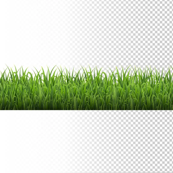 绿草边界分隔透明背景 向量图解 — 图库矢量图片