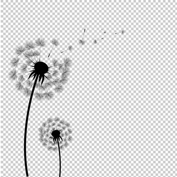 Silhouette Dandelion Isolated Transparent Background Vector Illustration — Stock Vector