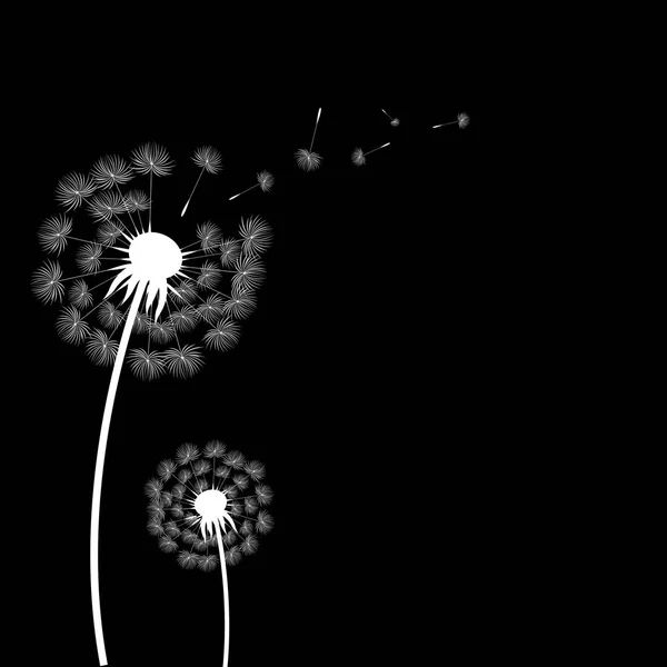 Silhouette Dandelion Fondo Negro Aislado Ilustración Vectorial — Archivo Imágenes Vectoriales