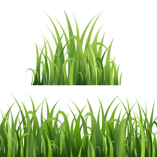 Green Grass Isolated White Background Vector Illustration — Stock Vector