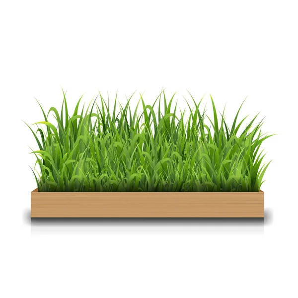 Green Grass Wood Gradient Mesh Vector Illustration — Stock Vector