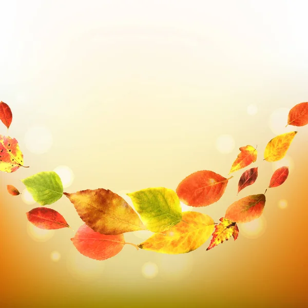 Осенний Плакат Листьями Градиентной Сеткой Векторная Иллюстрация — стоковый вектор