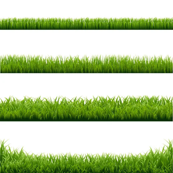 Green Grass Borders White Background — Stock Vector