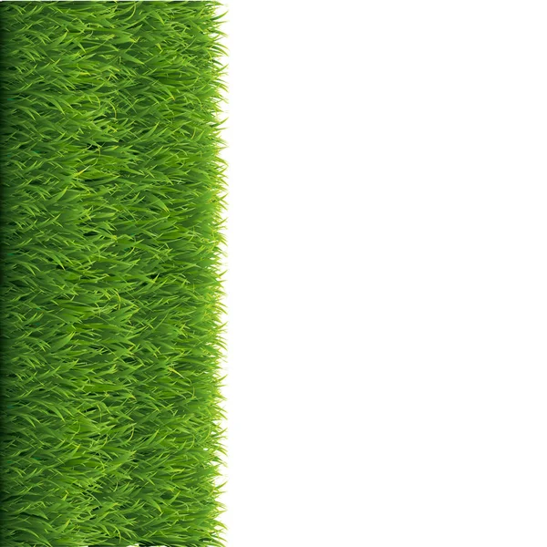 Bordure Herbe Verte Fond Blanc — Image vectorielle