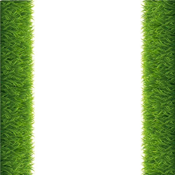 Green Grass Borders White Background — Stock Vector