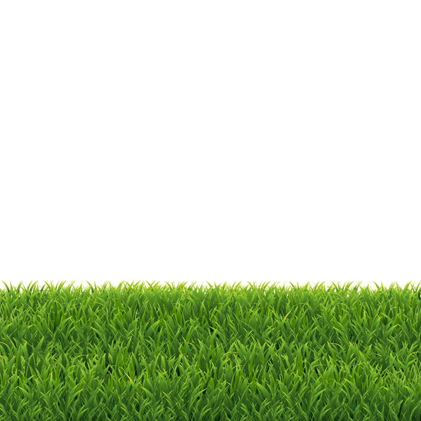 Πράσινο Γρασίδι Λευκό Φόντο Διανυσματική Απεικόνιση — Διανυσματικό Αρχείο