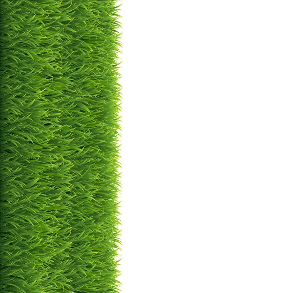 Gras Weißer Hintergrund Vektorillustration — Stockvektor