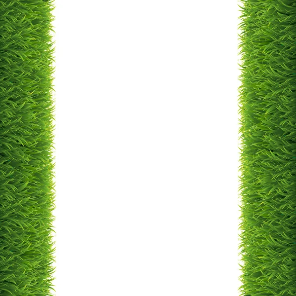 Grass Borders White Background Vector Illustration — Stock Vector