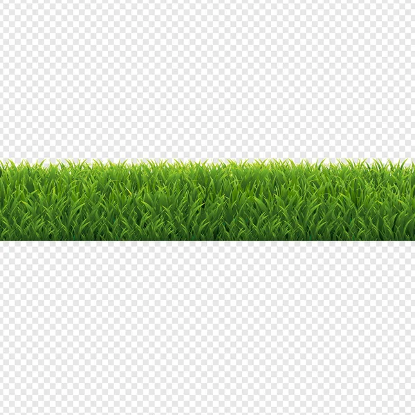Grön Gräs Gräns Transparent Bakgrund Vektor Illustration — Stock vektor
