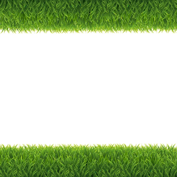 緑の草の境界白の背景ベクトルイラスト — ストックベクタ