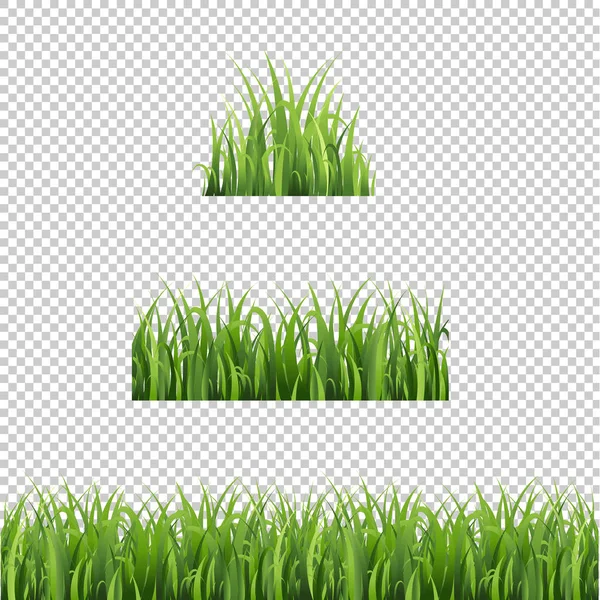 绿色草向量边框设置 — 图库矢量图片