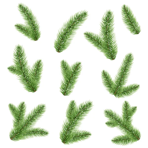 Fir Tree Branches Vector Icons Set — Stock Vector