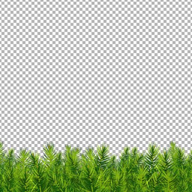 Noel ağacı sınır vektör çizim