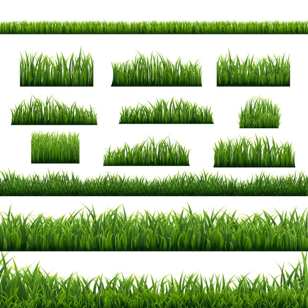 Green Grass Panorama White Background Vector Illustration — Stock Vector