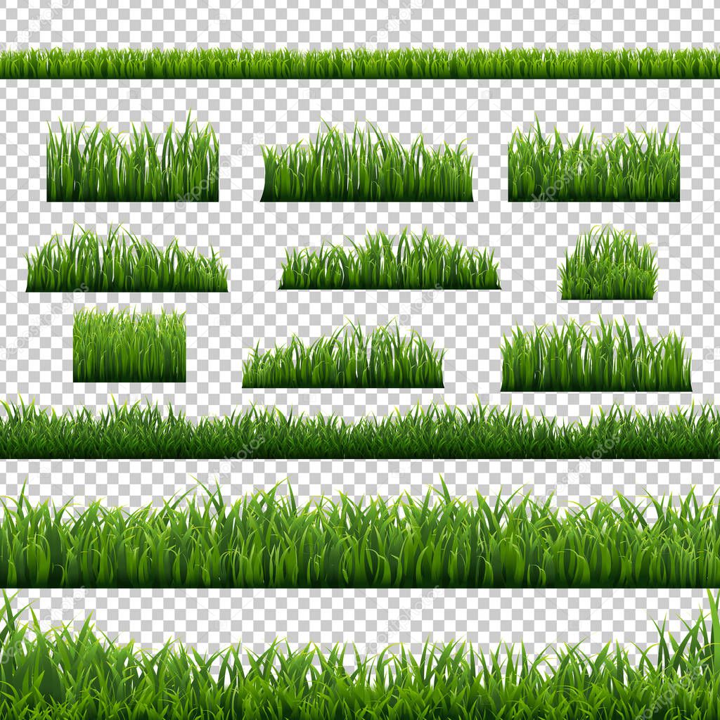 Green Grass Panorama Transparent Background, Vector Illustration