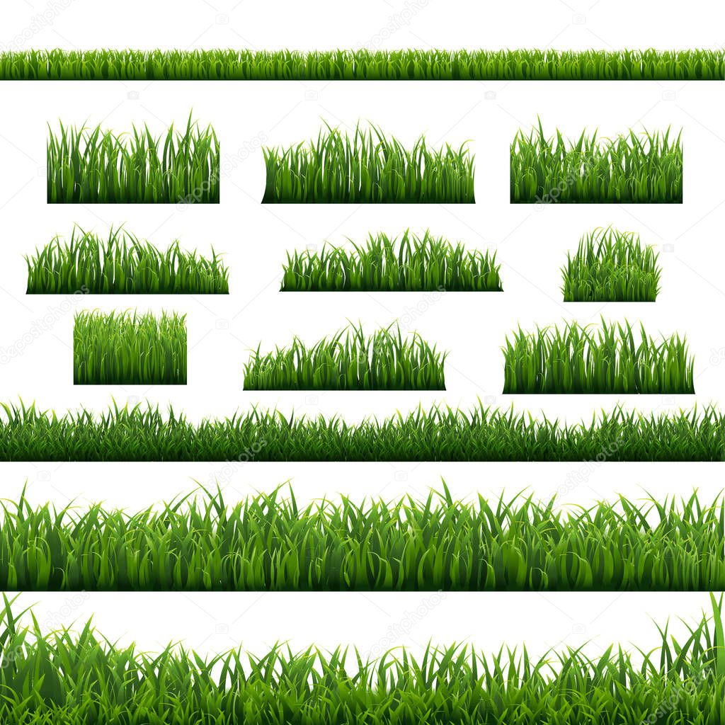 Green Grass Panorama White Background, Vector Illustration