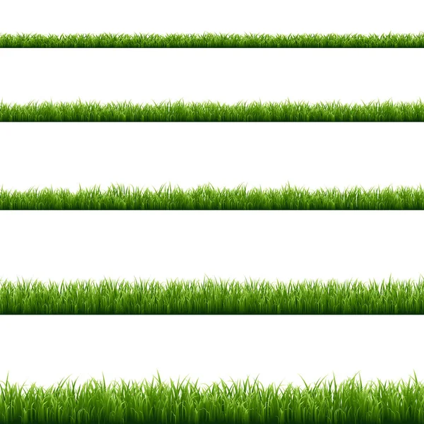 Grönt Gräs Uppsättning Färgglada Vektorillustration — Stock vektor