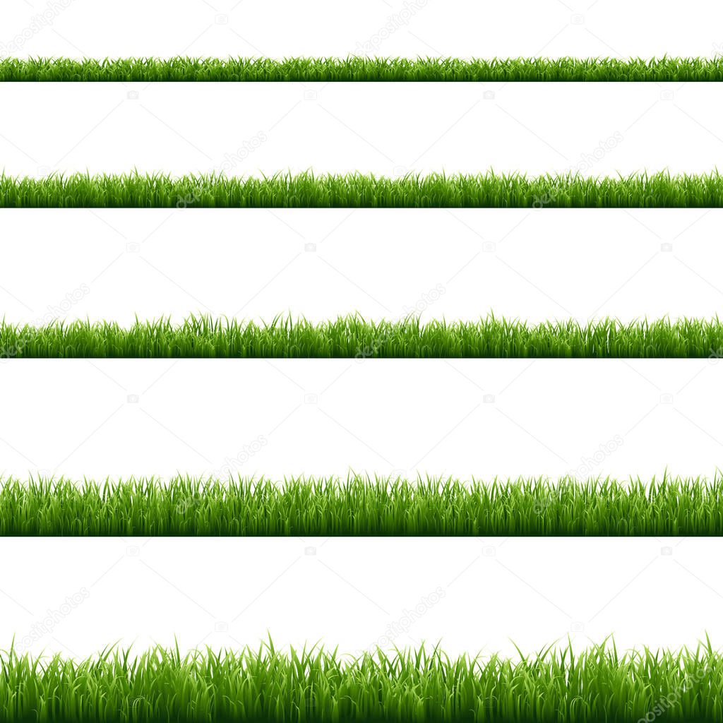 Green grass set, colorful vector illustration