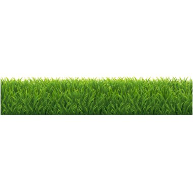 Kopya alanı ile yeşil çim sınır