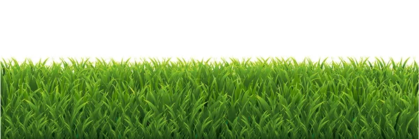 Green Grass Border Copy Space — Stock Vector