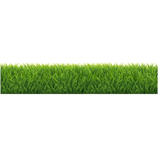 Green Grass Border Copy Space — Stock Vector