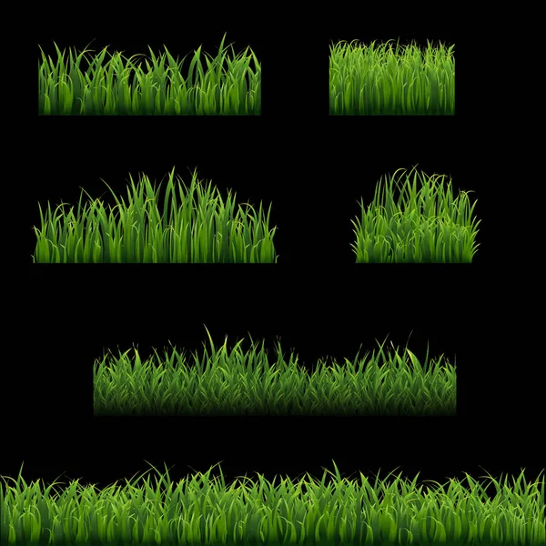 Set Green Grass Borders Copy Space — Stock Vector