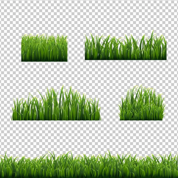 Set Green Grass Borders Copy Space — Stock Vector