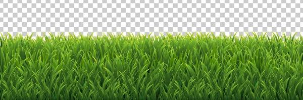 Зеленая Трава Клетчатом Фоне — стоковый вектор