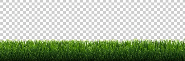Green Grass Frame Izolált Vector Illusztráció — Stock Vector