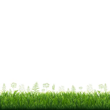 Yeşil Çim Sınırı, Vektör Resimleri