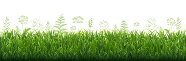 Beyaz Arkaplanlı Yeşil Çimen Sınırı, Vektör İllüstrasyonu