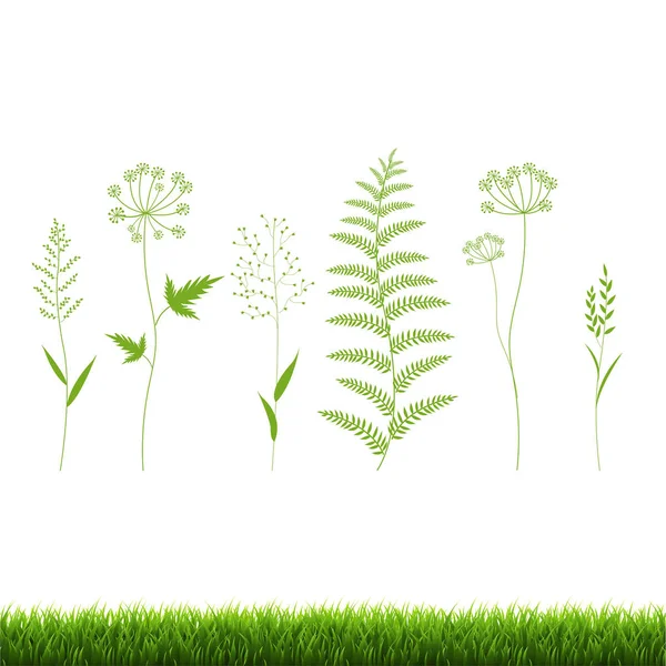 Grass Set Isolated White Background Vector Illustration — Stock Vector
