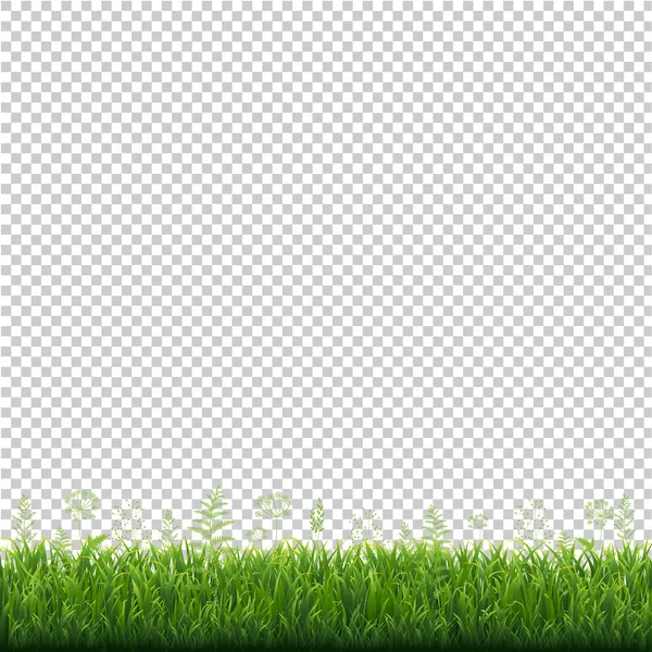 緑の草のフレーム透明背景ベクトルイラスト — ストックベクタ