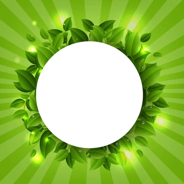 Bannière de vente de printemps avec des branches vertes Nature fond — Image vectorielle
