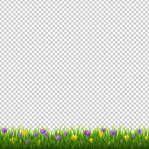 Blommor gränsen med gräs Transparent bakgrund — Stock vektor