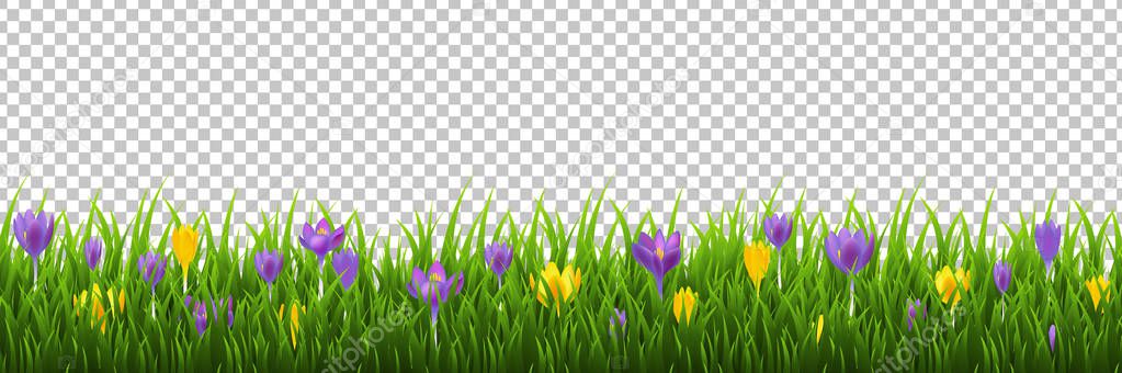 Flowers Frame With Grass Transparent Background