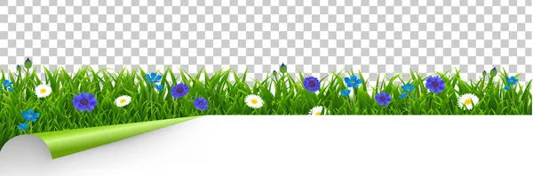 Gras und blaue Blumen Rand transparenten Hintergrund — Stockvektor