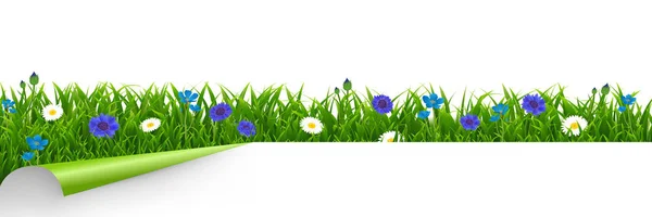 Çim ve mavi çiçekler sınır beyaz arka plan — Stok Vektör