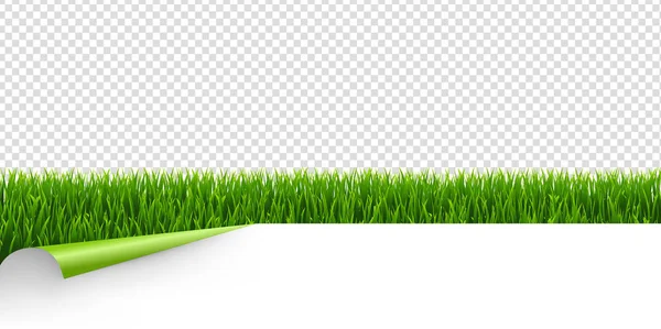 Yeşil Köşe şeffaf arka plan ile yeşil çimen — Stok Vektör