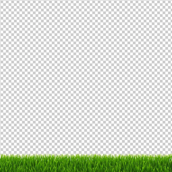 草枠透明な背景 — ストックベクタ