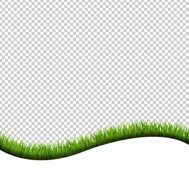 Çimen Sınırı İzole Şeffaf Arkaplan