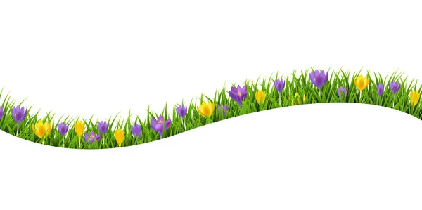 Herbe et fleurs de printemps cadre isolé fond blanc — Image vectorielle