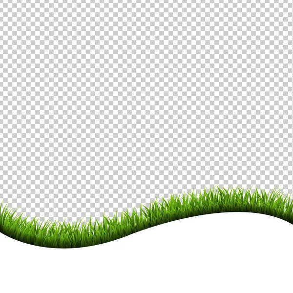 Grass Border Isolated Transparent Background — Stock Vector