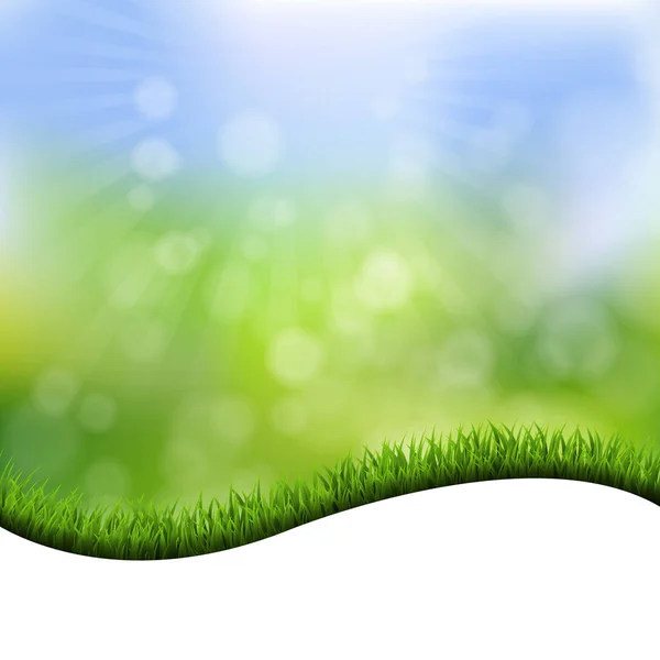 Gräs gränsen natur bakgrund — Stock vektor