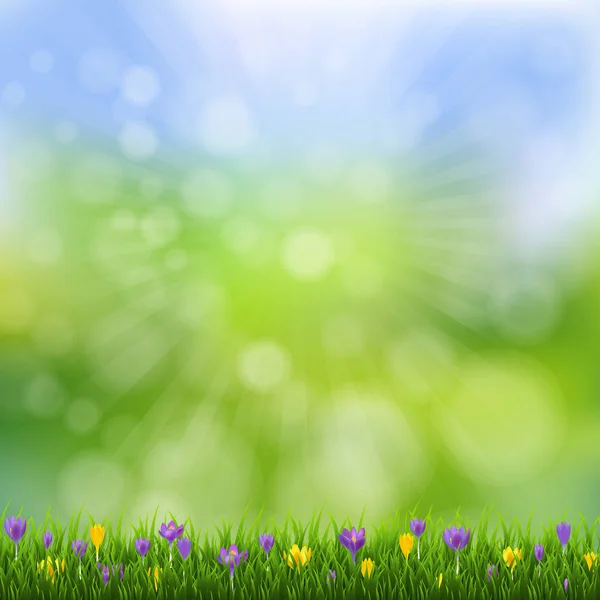Wiosna kwiaty natura plakat z trawy — Wektor stockowy