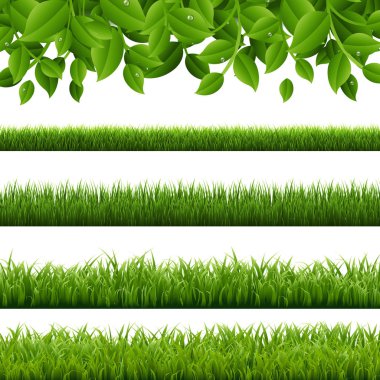 Büyük set yeşil çim ve yaprakları sınırları beyaz arka plan